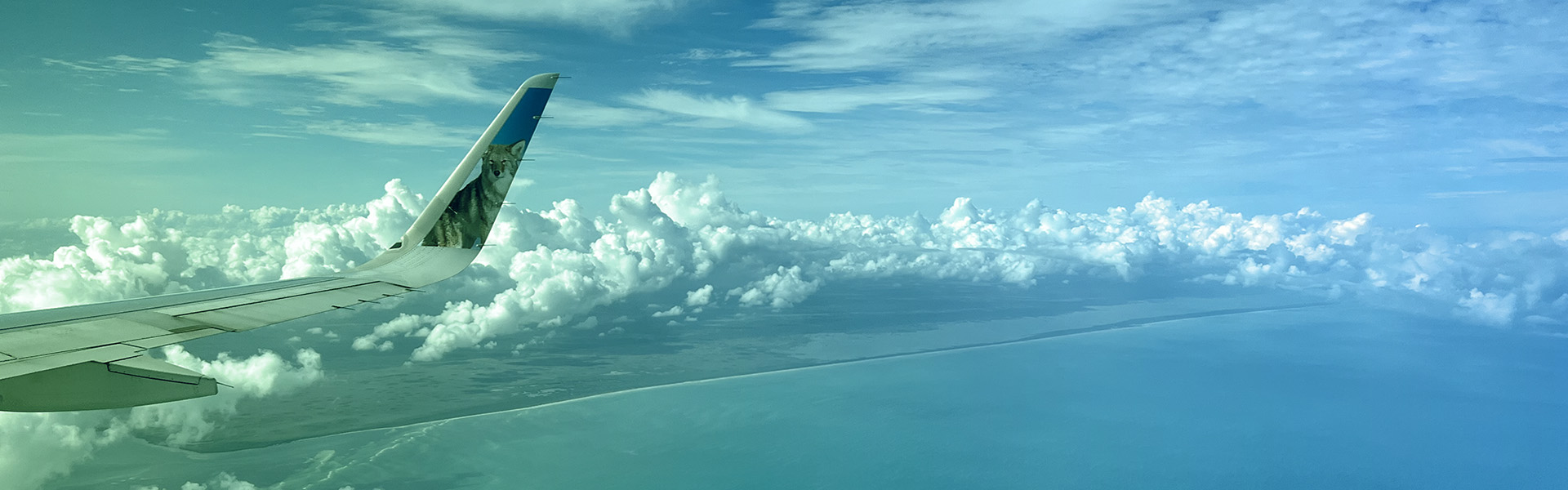 Aircraft wing above the clouds
